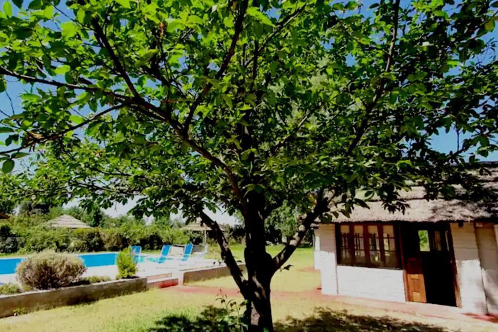 Fabulosa Y Confortable Сasa de vacaciones Mendoza
